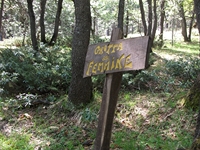 otta delle Femmine27052012 076